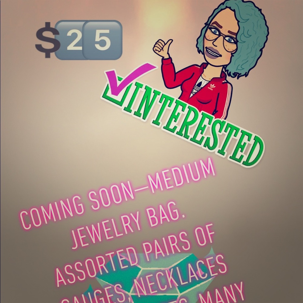 MEDIUM BODY JEWELRY MYSTERY BAG - Picture 1 of 2